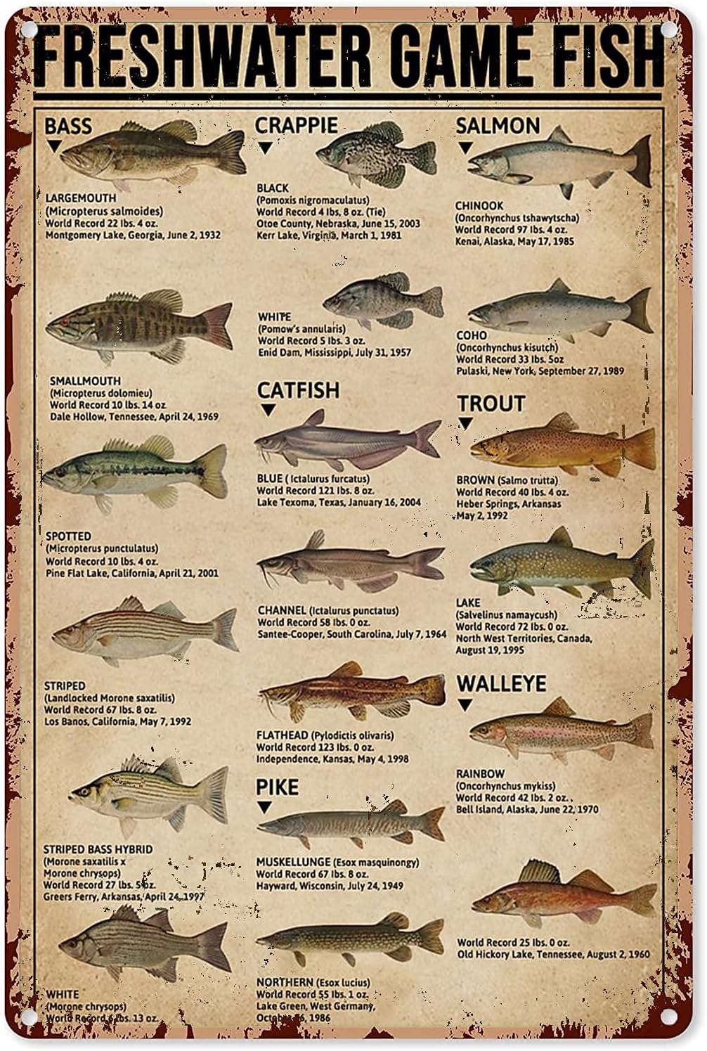 Y1,Fishing Art Posters Metal S - Home Improvement Game 评论和价格